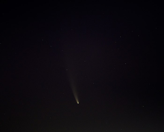La comète C/2020 F3 NEOWISE photographiée avant l'aube au-dessus de Washington en juillet 2020, montrant sa chevelure lumineuse et sa queue