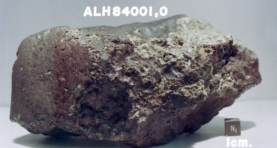 La météorite martienne ALH84001, retrouvée en Antarctique